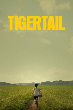 Tigertail รอยรักแห่งวันวาน (2020) NETFLIX บรรยายไทย - ดูหนังออนไลน