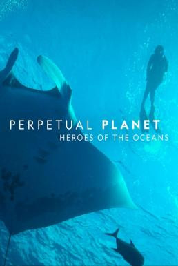 Perpetual Planet: Heroes of the Oceans (2021) บรรยายไทย - ดูหนังออนไลน