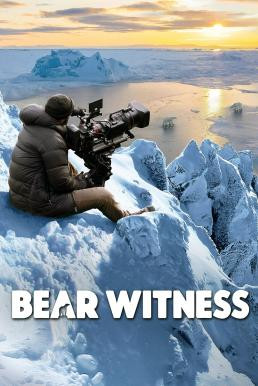 Bear Witness (2022) - ดูหนังออนไลน